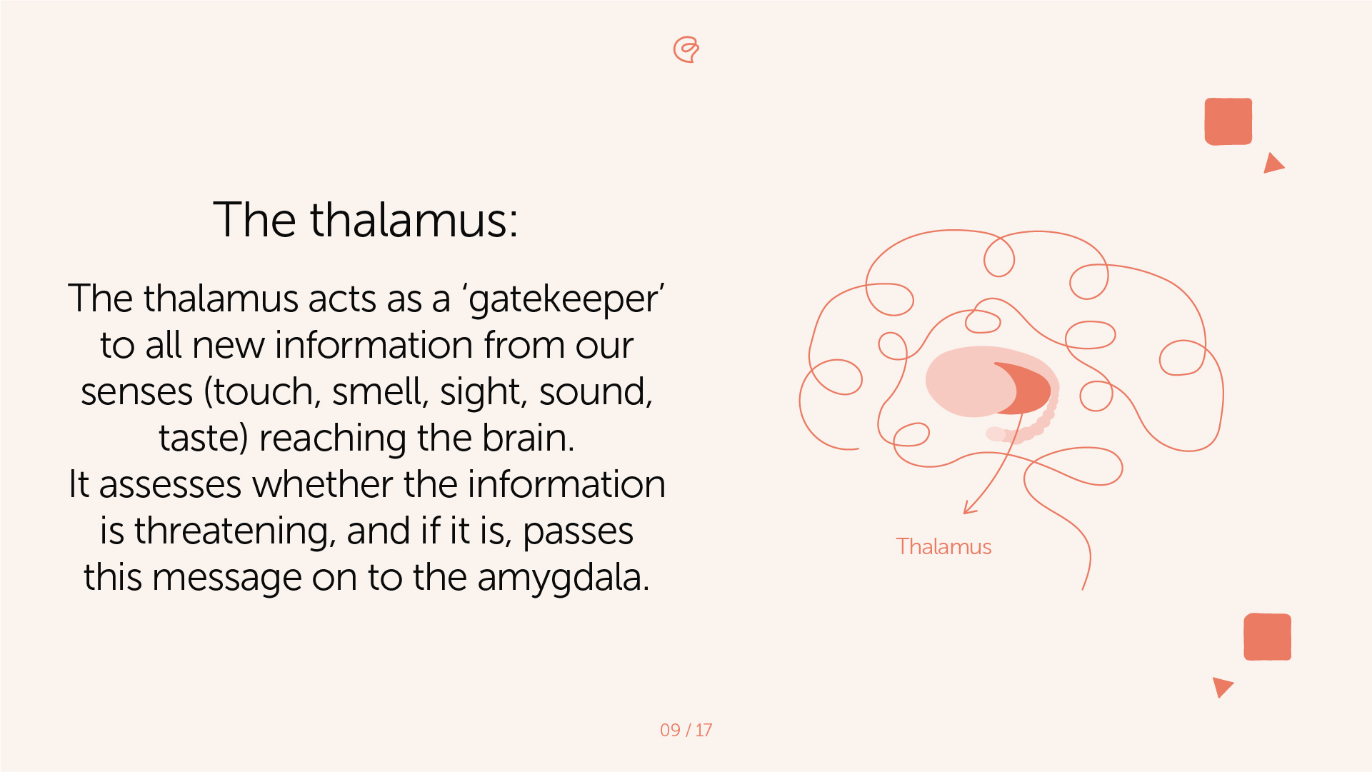 The Impact of Trauma on the Brain